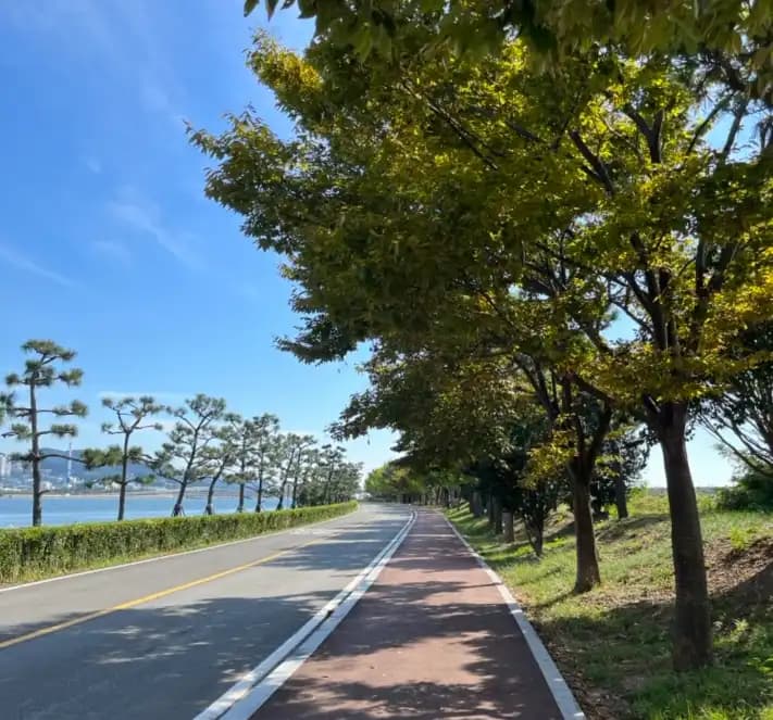 The Best Car-Free Running Route in Busan? Try Eulsukdo Island
