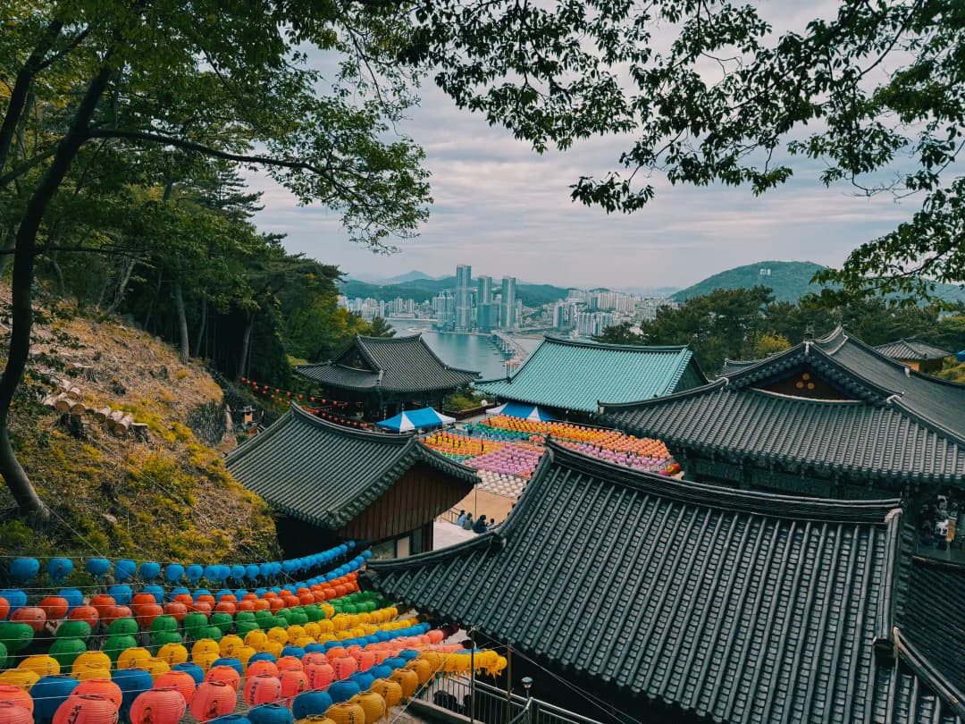 Busan’s Geography Built Its Past — and May Shape Its Climate Future