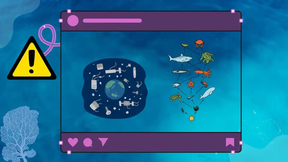 Busan’s Marine Data Platform Falls Short of Expectations