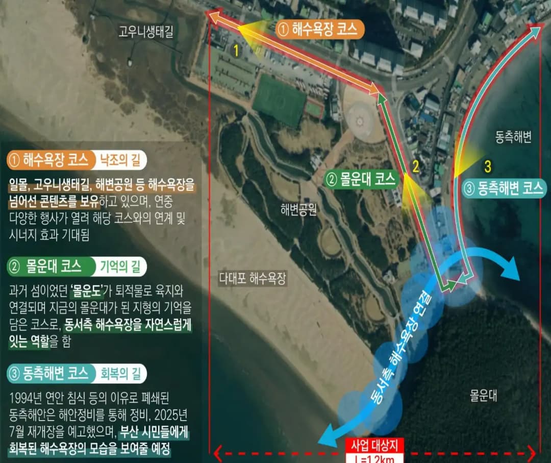 Busan to Redesign 1.2km Stretch of Dadaepo Beach by 2026