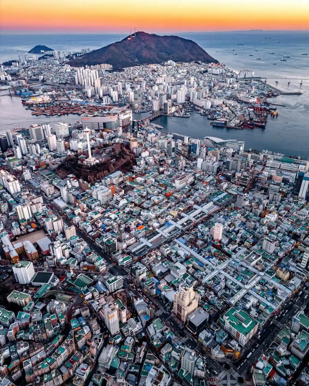 Busan's Demographic Decline: A Looming Crisis