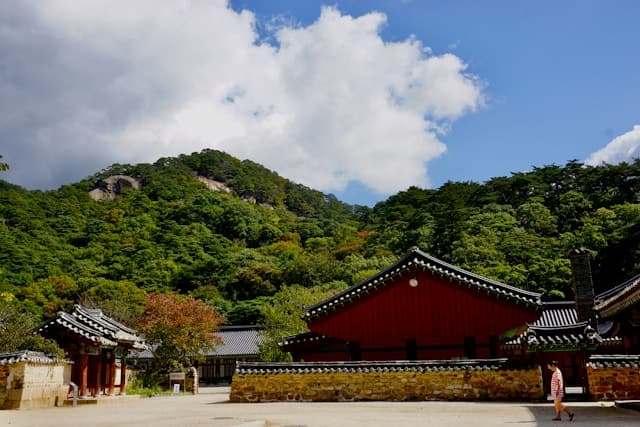 South Korea’s Forests: A Restoration Success Story Faces Aging Challenges