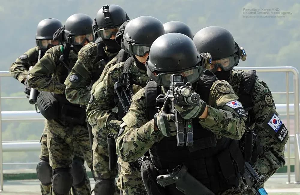 The Future of South Korea’s Military Lies in Specialization