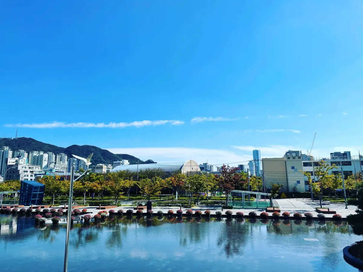 What you shouldn't miss in Busan Citizen Park