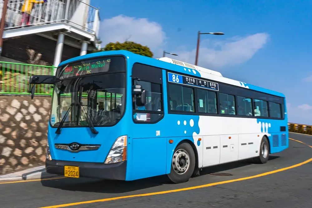 Busan’s 86 Bus and the City’s Secret Scenic Route