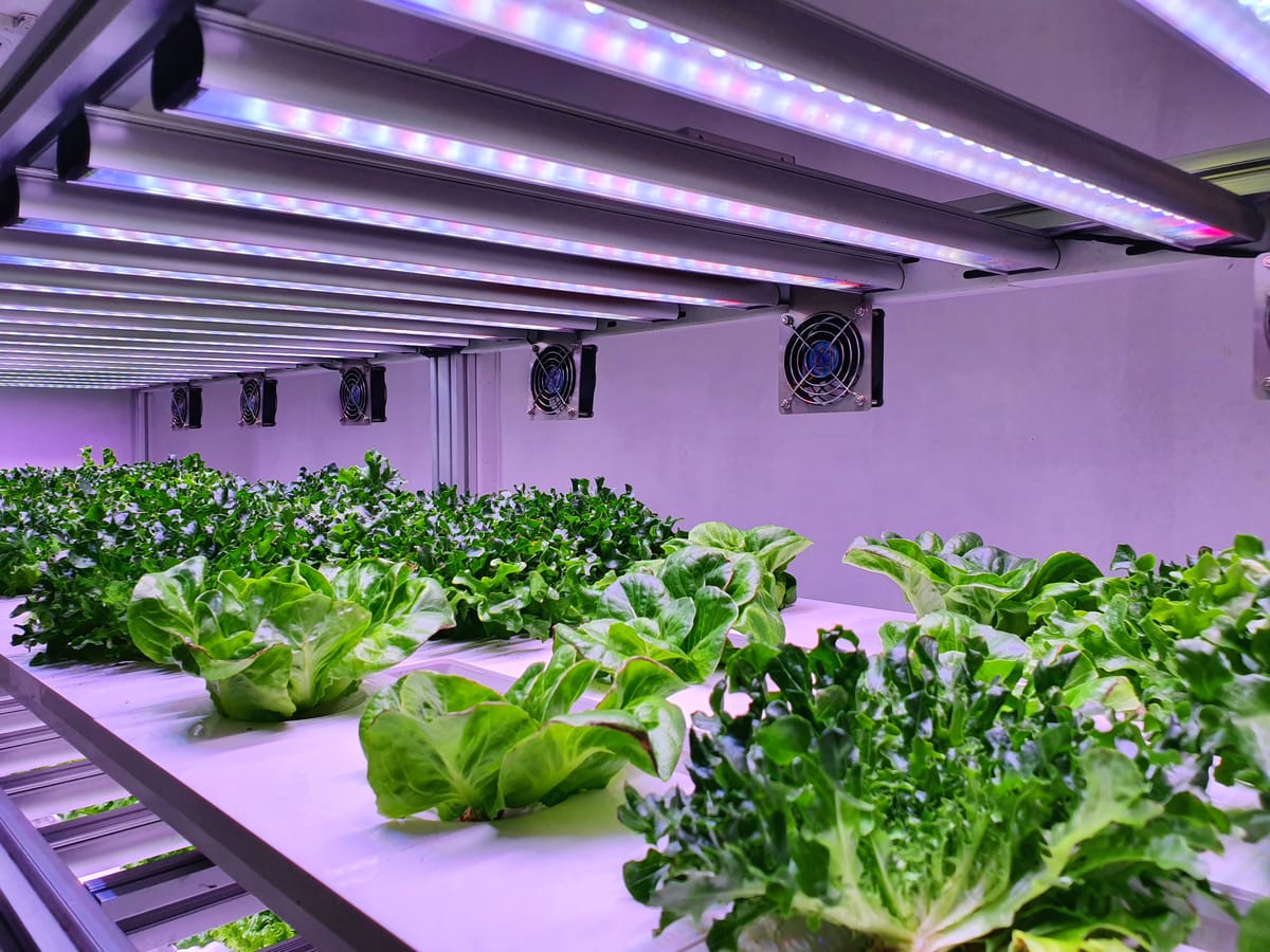 South Korea Opens Industrial Complexes to Vertical Farms