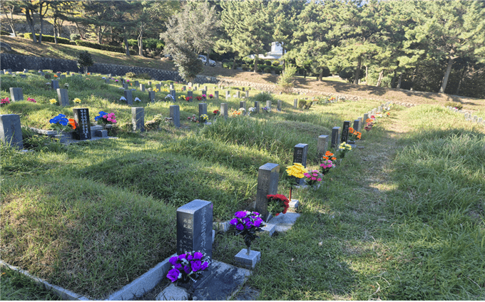 Busan Implements Plastic Flower Ban in Cemeteries to Promote Sustainability