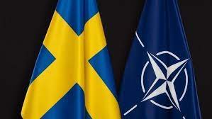 Sweden's Path to NATO Membership Hindered by Turkey and Hungary as Finland Celebrates Accession