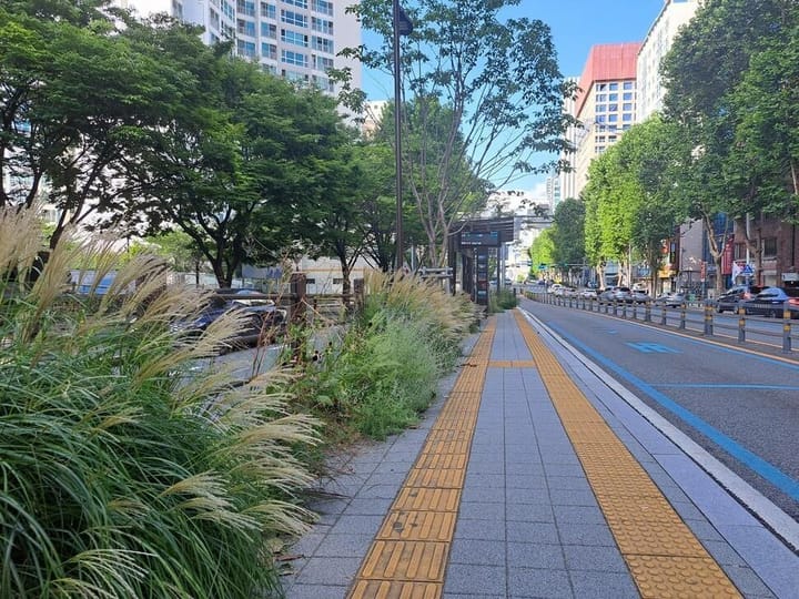 Busan to Launch Pilot Project for Garden-Type Urban Forests at BRT Stops