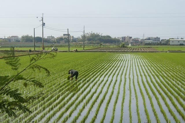 South Korea Implements Smart Farm Expansion and Improved Housing for Agricultural Workers