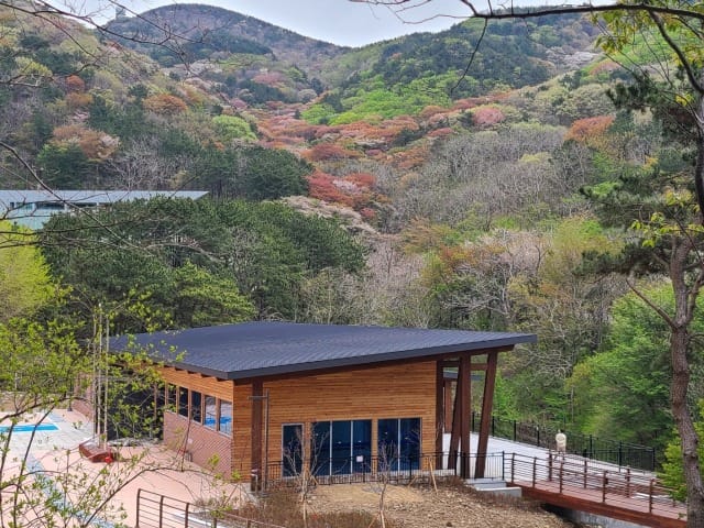 Busan Opens ‘Forest of Healing’ on Seunghaksan Mountain 