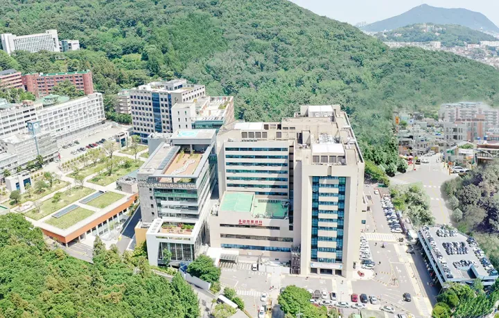 Can Busan Become a Global Medical Tourism Hub? 